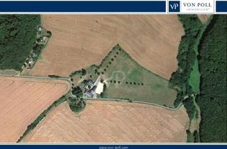 Haus kaufen in Dachsborn, 56340 Osterspai, Gutshof in Alleinlage - saniert - großzügig - stilvoll