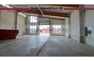 Büro zu mieten in Blyinghausen, 31655 Stadthagen, ROSE IMMOBILIEN KG: Lager-/Produktionshalle mit hellen Büros in Stadthagen zu vermieten!