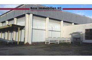 Gewerbeimmobilie mieten in Handelshof, 15328 Küstriner Vorland, ROSE IMMOBILIEN KG: Lagerhalle mit 8,5 m Höhe, Kühlzellen und Außenfläche zu vermieten!