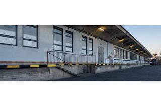 Büro zu mieten in Großbeerenstraße 2-4, 12277 Berlin, Große Lagerhalle mit Rampenandienung 1.450,43 m²