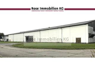 Gewerbeimmobilie mieten in Handelshof, 15328 Küstriner Vorland, ROSE IMMOBILIEN KG: Lagerhalle mit Kranbahn und 6,8 m Höhe zu vermieten!