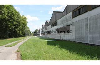 Büro zu mieten in Handelshof, 15328 Küstriner Vorland, ROSE IMMOBILIEN KG: Lagerhalle zu vermieten!