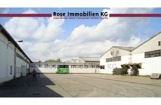 Büro zu mieten in Handelshof, 15328 Küstriner Vorland, ROSE IMMOBILIEN KG: Lagerhalle zu vermieten!