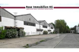 Gewerbeimmobilie mieten in Handelshof, 15328 Küstriner Vorland, ROSE IMMOBILIEN KG: Lagerhalle zu vermieten!