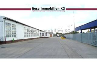 Gewerbeimmobilie mieten in Handelshof, 15328 Küstriner Vorland, ROSE IMMOBILIEN KG: Lagerhalle mit 4,7 m Höhe zu vermieten!