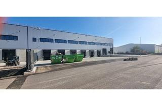 Büro zu mieten in Bürdestraße 17, 41334 Nettetal, Neubau, Erstbezug 4. Quartal 2023, Objekt 1586