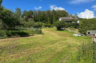 Einfamilienhaus kaufen in Im Schlüssel, 67806 Dörnbach, Familienparadies in ruhiger Nachbarschaft - Bauplatz inklusive