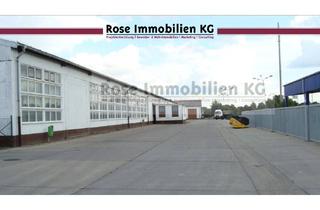 Gewerbeimmobilie kaufen in Handelshof, 15328 Küstriner Vorland, ROSE IMMOBILIEN KG: Lagerhalle mit 4,7 m Höhe zu verkaufen!
