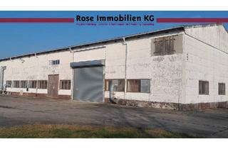 Gewerbeimmobilie kaufen in Handelshof, 15328 Küstriner Vorland, ROSE IMMOBILIEN KG: Lagerhalle mit Kranbahn und 6,8 m Höhe zu verkaufen!