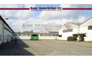 Gewerbeimmobilie kaufen in Handelshof, 15328 Küstriner Vorland, ROSE IMMOBILIEN KG: Lagerhalle zu verkaufen!
