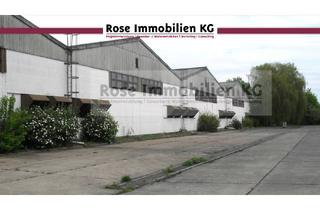 Gewerbeimmobilie kaufen in Handelshof, 15328 Küstriner Vorland, ROSE IMMOBILIEN KG: Lagerhalle zu verkaufen!