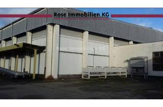 Gewerbeimmobilie kaufen in Handelshof, 15328 Küstriner Vorland, ROSE IMMOBILIEN KG: Lagerhalle mit 8,5 m Höhe, Kühlzellen und Außenfläche zu verkaufen!