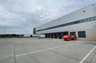 Büro zu mieten in Alexander-Meißner-Straße 77, 12526 Berlin, Exklusive Lagerhallen in Berlin Schönefeld