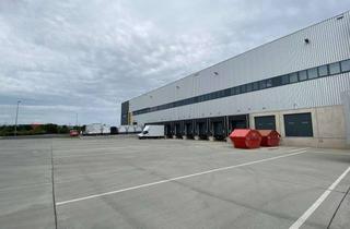 Gewerbeimmobilie mieten in Alexander-Meißner-Straße 77, 12526 Berlin, Gewerbeimmobilien mieten, Treptow-Köpenick