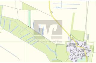 Immobilie kaufen in Achterstraße 37A, 39646 Oebisfelde, 2 ha Ackerland