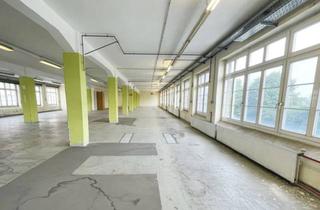 Gewerbeimmobilie kaufen in Offelter Dorfstraße 18-20, 32361 Preußisch Oldendorf, Für Unternehmen und Investoren, Gewerbekomplex in Pr. Oldendorf!