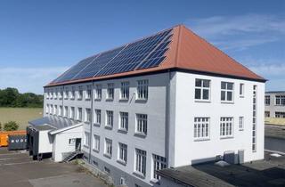 Gewerbeimmobilie kaufen in Offelter Dorfstraße 18-20, 32361 Preußisch Oldendorf, Für Unternehmen und Investoren, Gewerbekomplex in Pr. Oldendorf!