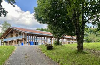 Gewerbeimmobilie kaufen in Industriestr., 94518 Spiegelau, Repräsentatives Gewerbeobjekt mit Büroräumen und großem Grundstück !