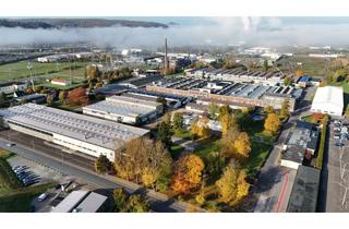 Büro zu mieten in 97483 Eltmann, Lager- und Produktionshallen mit Büroräumen in verkehrsgünstiger Lage im Industriegebiet Eltmann