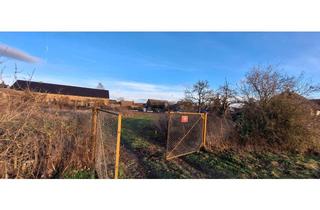 Grundstück zu kaufen in 06386 Libbesdorf, GROßES GRUNDSTÜCK FÜR IHR TRAUMHAUS BEI DESSAU!