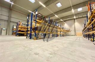 Büro zu mieten in 65830 Kriftel, KEINE PROVISION ✓ RAMPE + EBEN ✓ Lagerflächen (2.800 m²) & Büroflächen (300-1.000 m²) zu vermieten