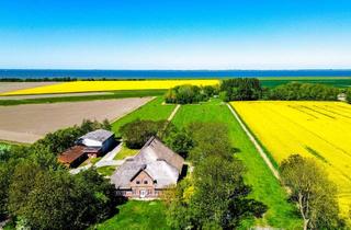 Haus kaufen in 25870 Norderfriedrichskoog, Rarität auf Eiderstedt Haubarg | Rohbau | + Altenteil