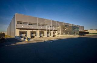 Gewerbeimmobilie mieten in 68649 Groß-Rohrheim, "BAUMÜLLER AG" - moderne Logistikhalle - ca. 3.000 qm - Neubau