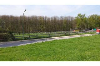 Grundstück zu kaufen in Hibbelweg 42, 45549 Sprockhövel, Baugrundstück Hibbelweg 42 Sprockhövel zum Bau einer Doppelhaushälfte !
