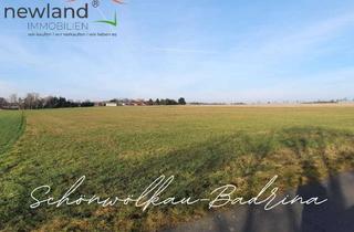 Grundstück zu kaufen in 04509 Schönwölkau, Selbstversorger, Tierliebhaber aufgepasst Ackergrundstück in Badrina zu verkaufen!