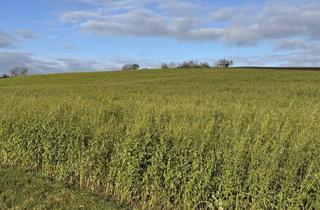 Gewerbeimmobilie kaufen in 84187 Weng, Landwirtschaftliche Fläche in Weng in der Nähe des Ortsteils Hinzlbach
