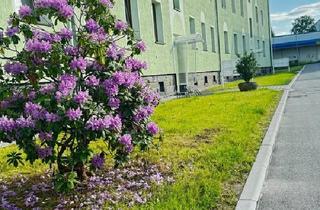 Wohnung kaufen in 08427 Fraureuth, Fraureuth - Eigentumswohnung mit Balkon, 4-Raum, Erdgeschoss, 80qm (+37,5qm)