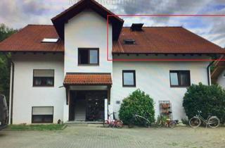 Wohnung mieten in 74924 Neckarbischofsheim, 55 qm 2-Zi-Wohnung Warmmiete 800 € incl. Küche + 2xStellplatz