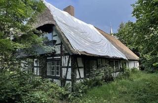 Haus kaufen in Lauenbrücker Straße, 27389 Fintel, Sanierungsbedürftiges Reetdachhaus (Der Joshof) mit großem Grundstück