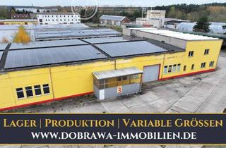 Gewerbeimmobilie mieten in Köpnicker Straße, 06895 Zahna, Gewerbehallen in Zahna-Elster