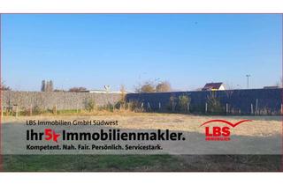 Grundstück zu kaufen in 67376 Harthausen, Großzügiges Grundstück in schöner Spielstraße