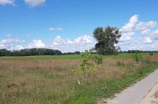 Grundstück zu kaufen in 15848 Friedland, Zuhause ist kein Ort - es ist ein Gefühl | 25 Baugrundstücke in ruhigem Wohnquartier