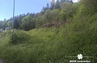 Grundstück zu kaufen in 74731 Walldürn, BERK Immobilien – Naturnahes sonniges Baugrundstück – Platz für zwei Wohnhäuser in Rippberg/Walldürn