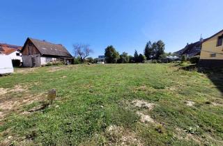 Einfamilienhaus kaufen in 73265 Dettingen, Projektiertes Neubau Einfamilienhaus in Dettingen unter Teck