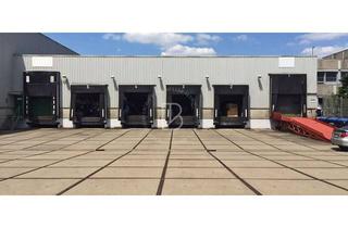 Gewerbeimmobilie mieten in 68169 Mannheim, "BAUMÜLLER AG" - ca. 6.000 qm Logistikhalle mit WGKIII - viele Rampen!!