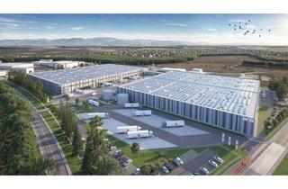 Gewerbeimmobilie mieten in 77866 Rheinau, 43.000 m² Neubau an der A5 - Logistik | Gewerbe | WGK3 | 24/7 - provisionsfrei vom Eigentümer!