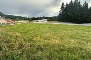 Grundstück zu kaufen in 94089 Neureichenau, Baugrundstück Gemeinde Neureichenau Nähe Altreichenau