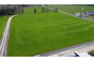 Gewerbeimmobilie kaufen in Heisterberger Weg, 35767 Breitscheid, Von 17.000 qm noch ca. 8.000qm Gewerbegrundstück "Auf dem Schollenberg II" in Breitscheid