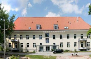 Wohnung mieten in Danckelmannstraße 16, 16259 Bad Freienwalde, Mietwohnungen, Märkisch-Oderland