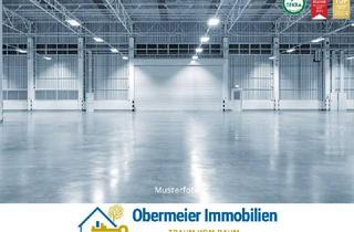 Gewerbeimmobilie mieten in 93155 Hemau, Neuwertige Lagerhalle mit Freifläche – Ideal für Logistik und Gewerbe
