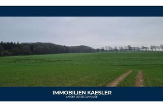 Anlageobjekt in 18239 Satow, Landwirtschaftliche Nutzfläche zur Eigennutzung oder lukrativen Verpachtung