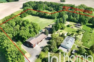 Haus kaufen in 04758 Liebschützberg, Landanwesen (2,9ha) mit großem Haus und Gewerbehalle