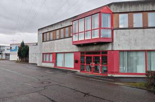 Gewerbeimmobilie kaufen in 74172 Neckarsulm, Vielseitig nutzbares Büro- u. Lagergebäude in NSU mit Photovoltaikanlage 22,95 kW und Autobahnansch.