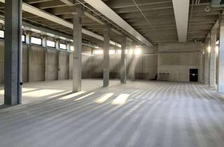 Büro zu mieten in 74072 Heilbronn, Lager-/ Büroflächen mit Rampenandienung, zur Miete!