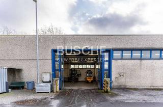 Büro zu mieten in 48565 Steinfurt, Steinfurt || kleine Lagerhalle || kleine Bürofläche || Flexibilität