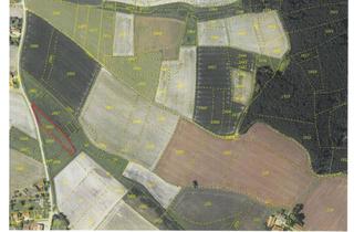 Grundstück zu kaufen in 84416 Inning am Holz, "WERTVOLLES ACKERLAND UND GRÜNLAND"